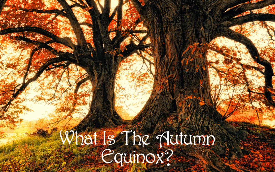 What is the Autumn Equinox? A beginner’s guide to its history, meaning, and celebration